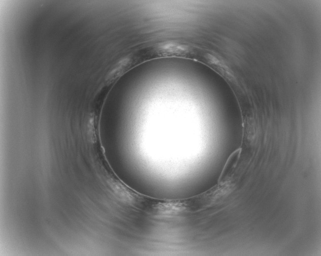 X0000071860378200607072334