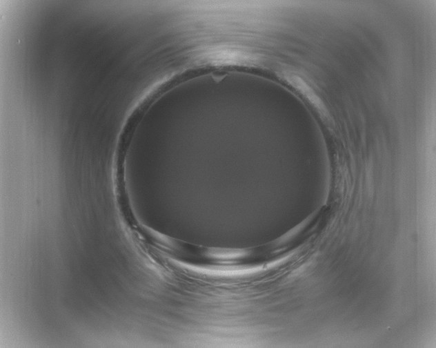 X0000071860391200607072333