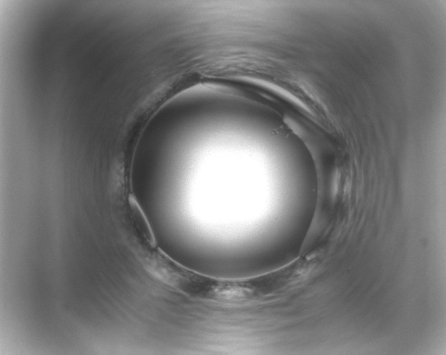 X0000071860407200607072332
