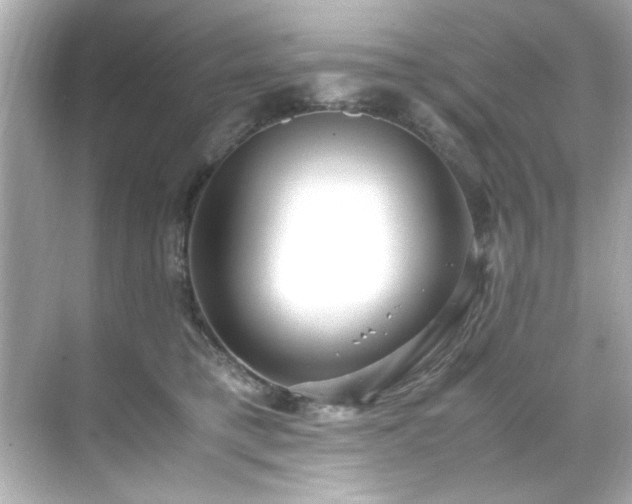 X0000071860421200607072332