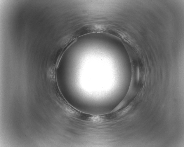 X0000071860425200607072332