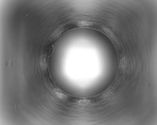 X0000071860426200607072332
