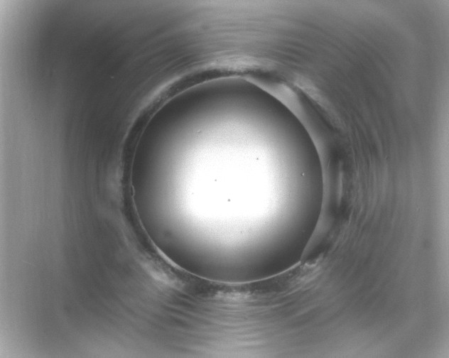 X0000071860440200607072331