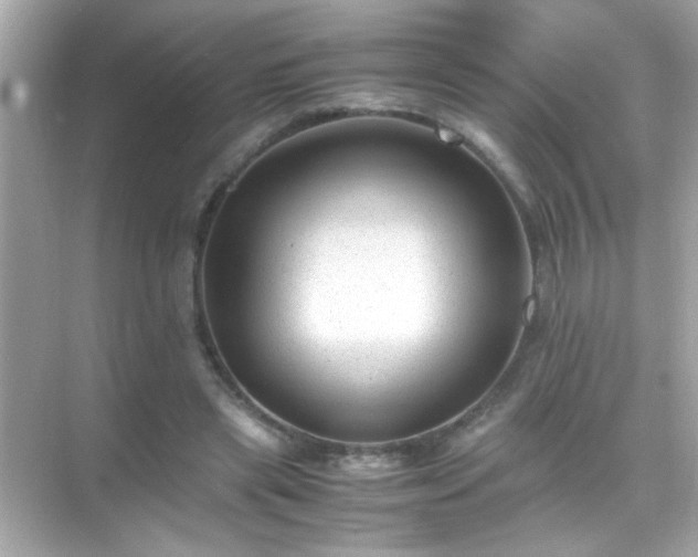 X0000071860445200607072331