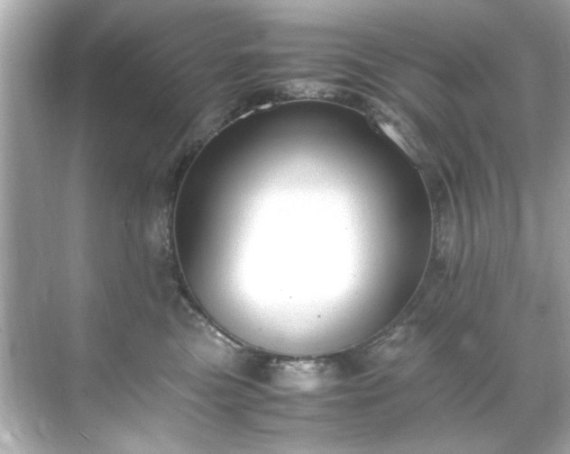 X0000071860473200607072332