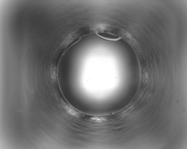 X0000071860477200607072332
