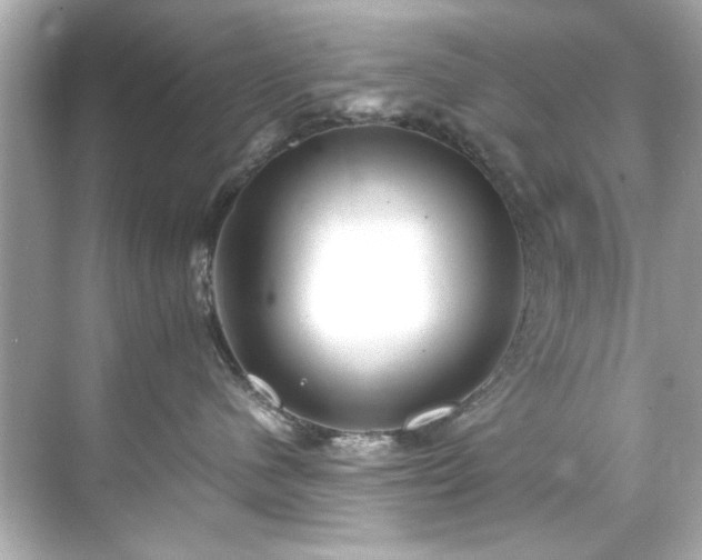 X0000071860480200607072332