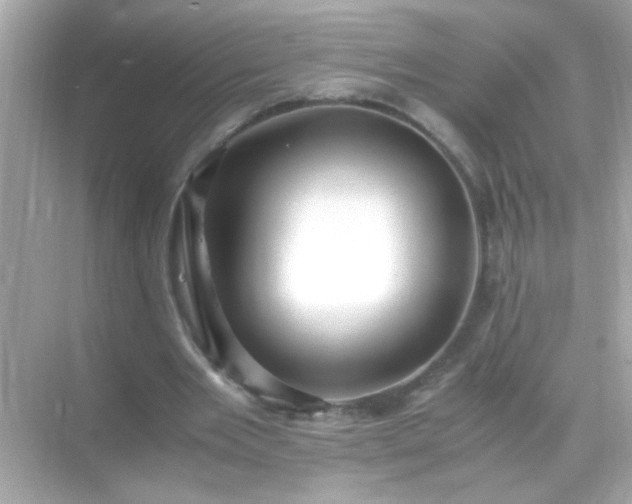 X0000071860485200607072331