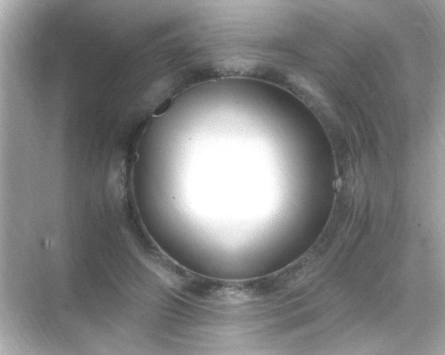X0000071860498200607072331