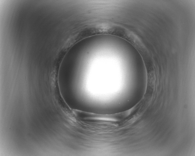 X0000071860509200607072331