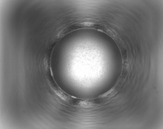 X0000071860568200607072330
