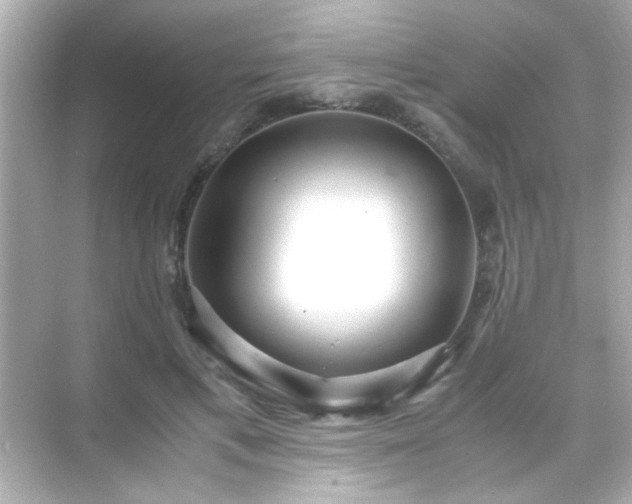 X0000071860597200607072329