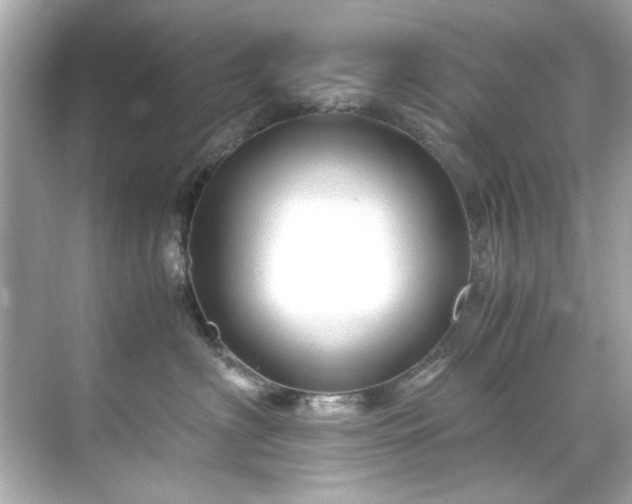 X0000071860622200607072329
