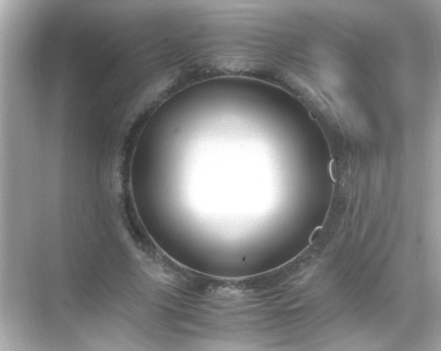 X0000071860635200607072328