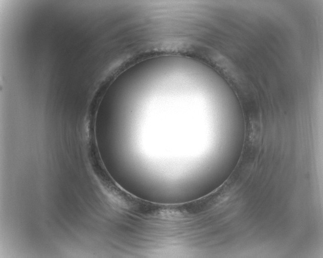 X0000071860636200607072328