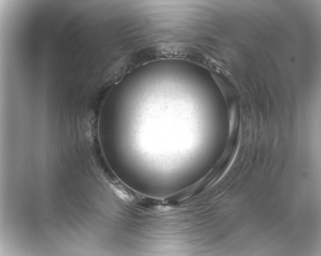 X0000071860712200607072327