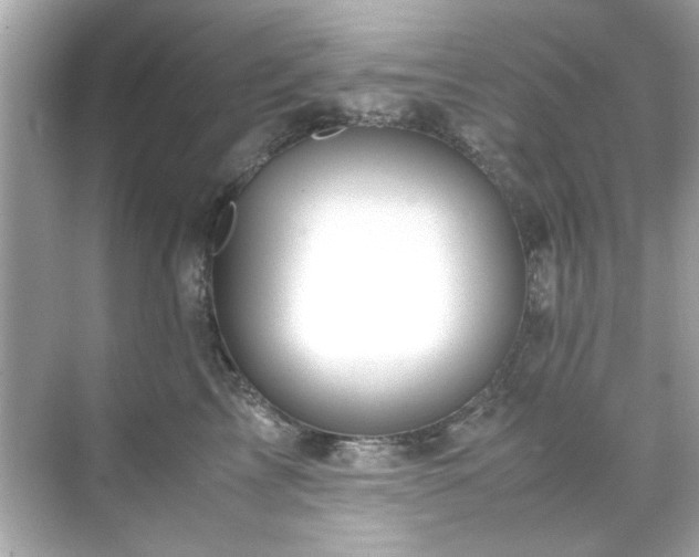 X0000071860713200607072327
