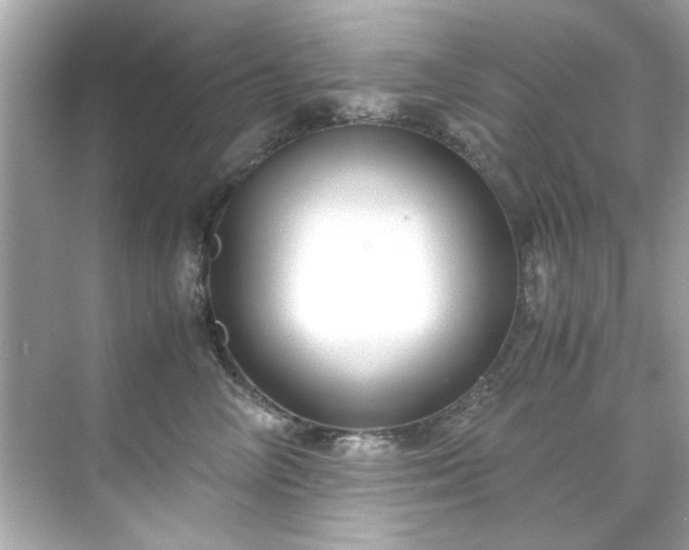 X0000071860714200607072327