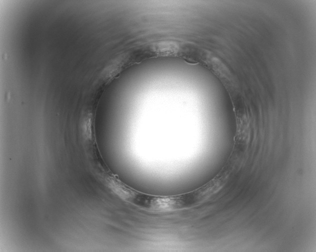 X0000071860717200607072327