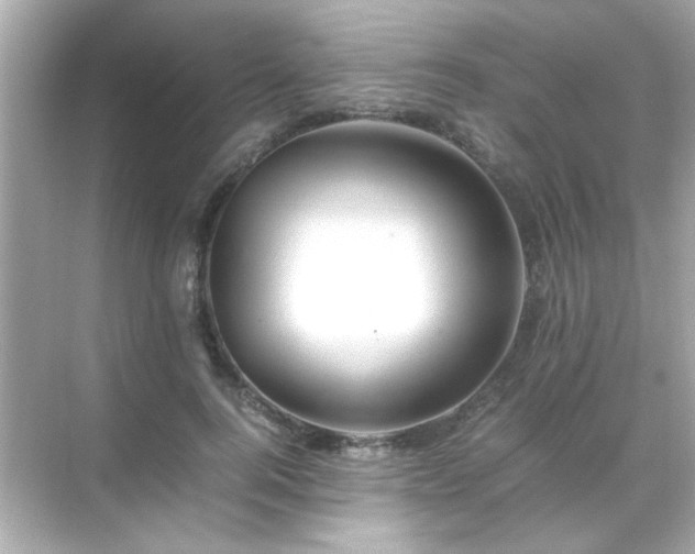 X0000071860744200607072327