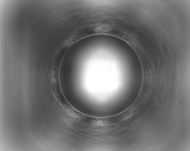 X0000071860755200607072327