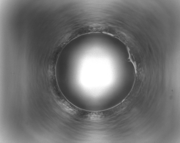 X0000071860756200607072327