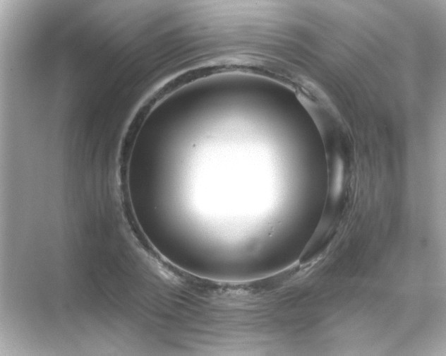 X0000071860784200607072326