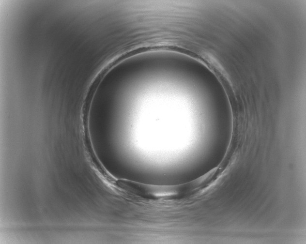 X0000071860789200607072326