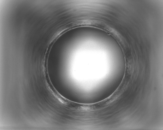 X0000071860794200607072326