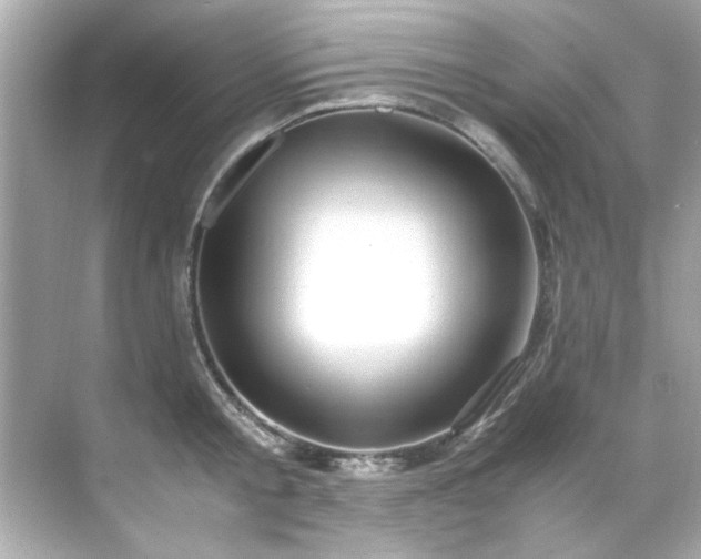 X0000071860805200607072326