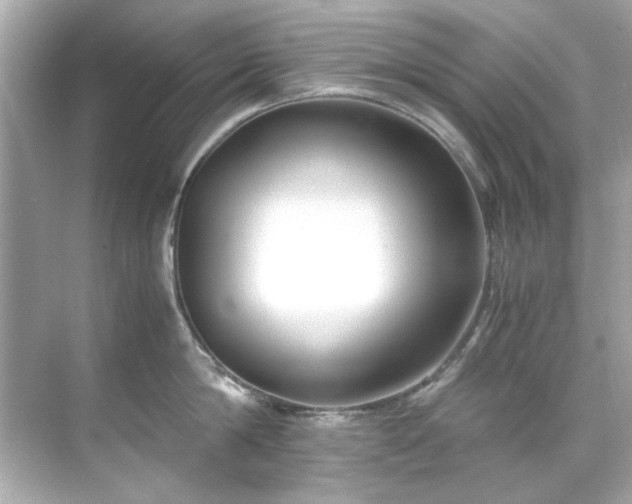 X0000071860814200607072326
