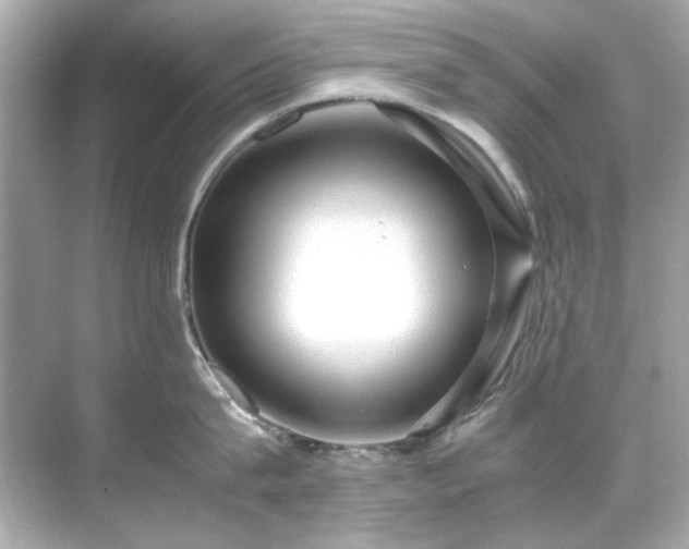 X0000071860815200607072326