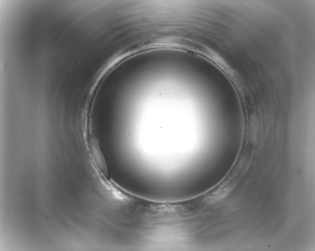 X0000071860862200607072326