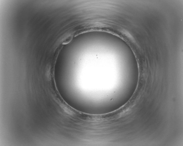 X0000071860873200607072325
