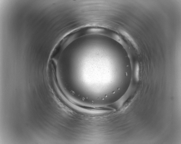 X0000071860876200607072325