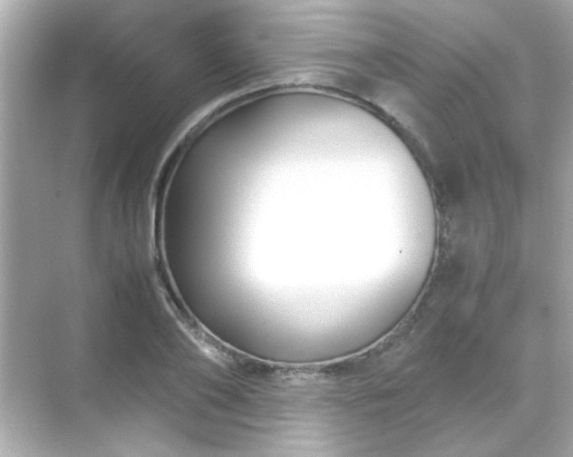 X0000071860886200607072324