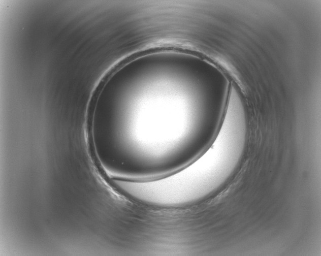 X0000071860888200607072324