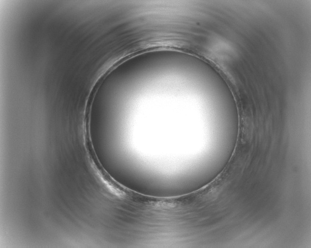 X0000071860890200607072324