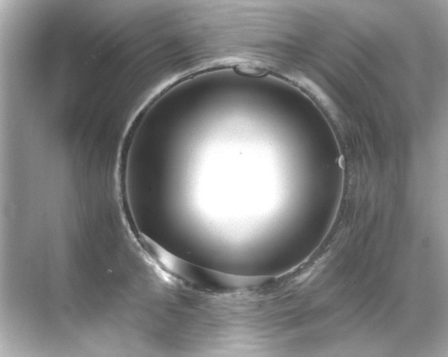 X0000071860902200607072324