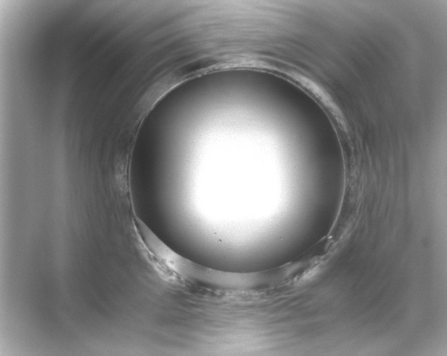 X0000071860905200607072324