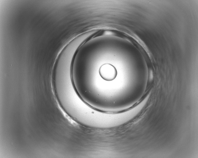 X0000071860909200607072324