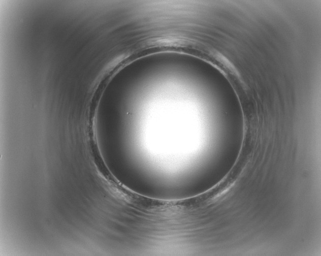 X0000071860930200607072323