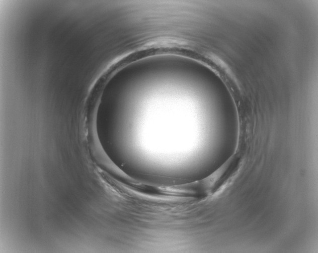 X0000071860973200607072323