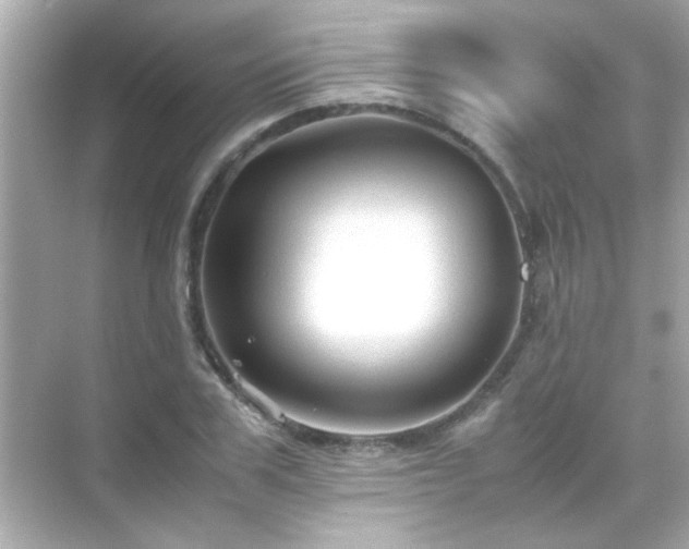 X0000071860979200607072323