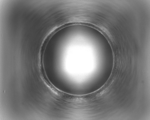 X0000071860982200607072323