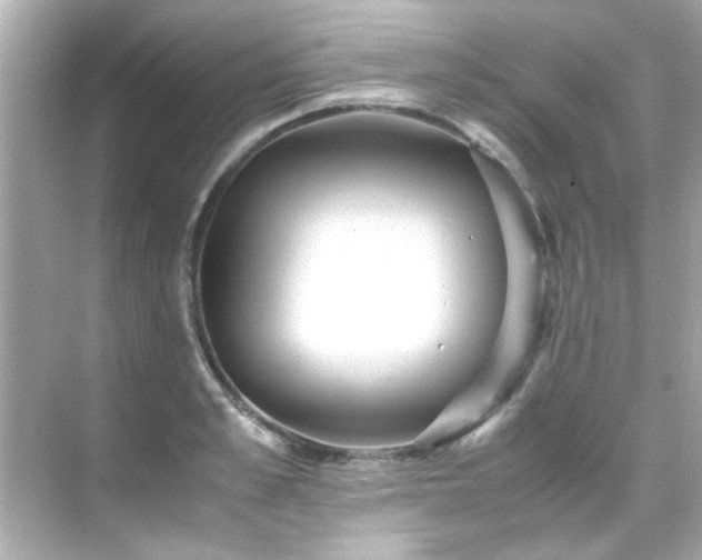 X0000071860989200607072323