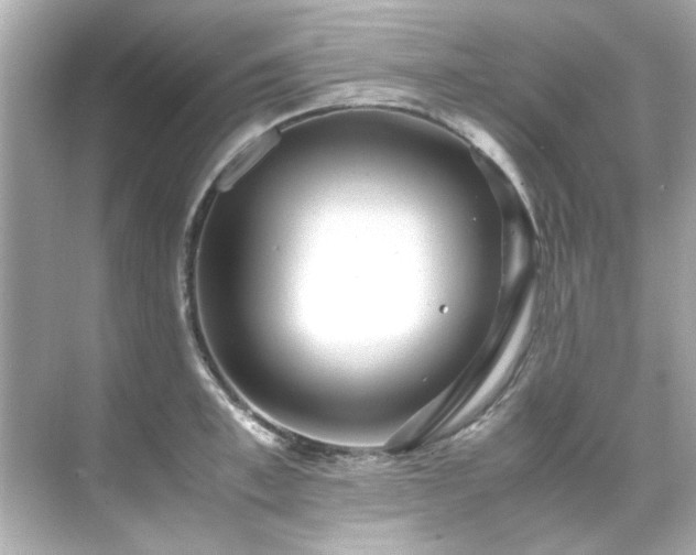 X0000071860997200607072322