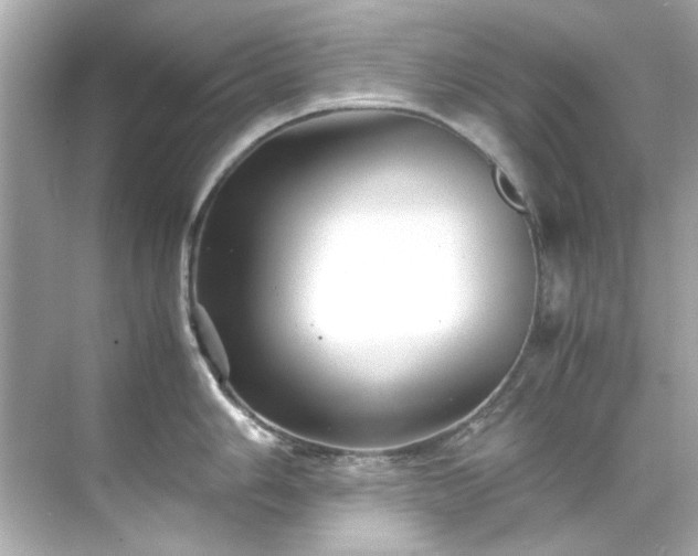 X0000071861006200607072322