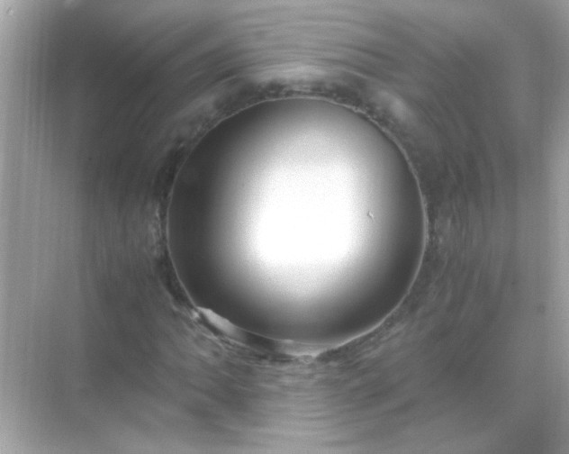 X0000071861062200607072321
