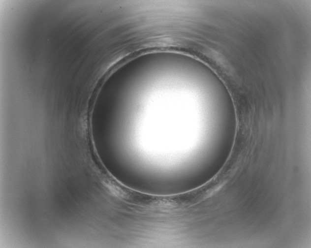 X0000071861073200607072321